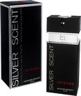 Туалетная вода Bogart Silver Scent Intense (Богарт Сильвер Сент Интенс) 168921