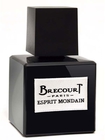 Парфюмерная вода Brecourt Esprit Mondain (Брекурт Эсприн Мондан) 171664