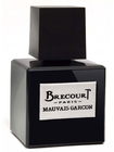 Парфюмерная вода Brecourt Mauvais Garcon (Брекурт Мовэ Гарсон) 171669